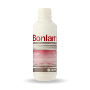 Cibeles_Bonlam