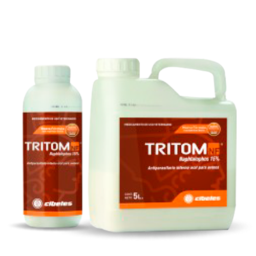 Cibeles_Tritom-nf