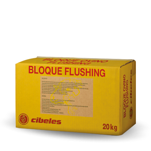 Cibeles_bloq-flushing