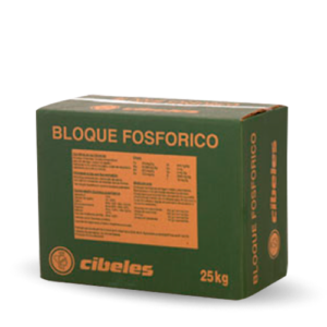 Cibeles_fot_bloque_energetico