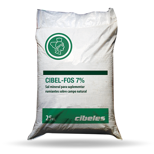 cibeles_cibel_fos_7%