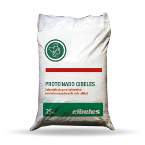 cibeles_proteinado