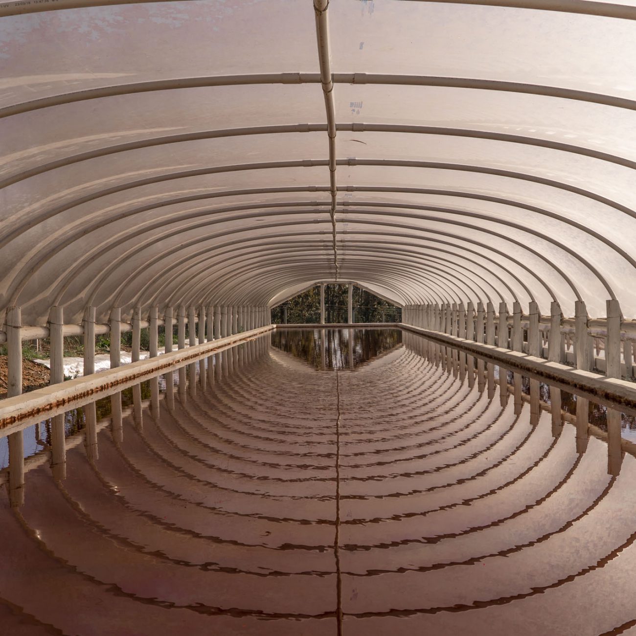 CIBELES Confianza que genera resultados